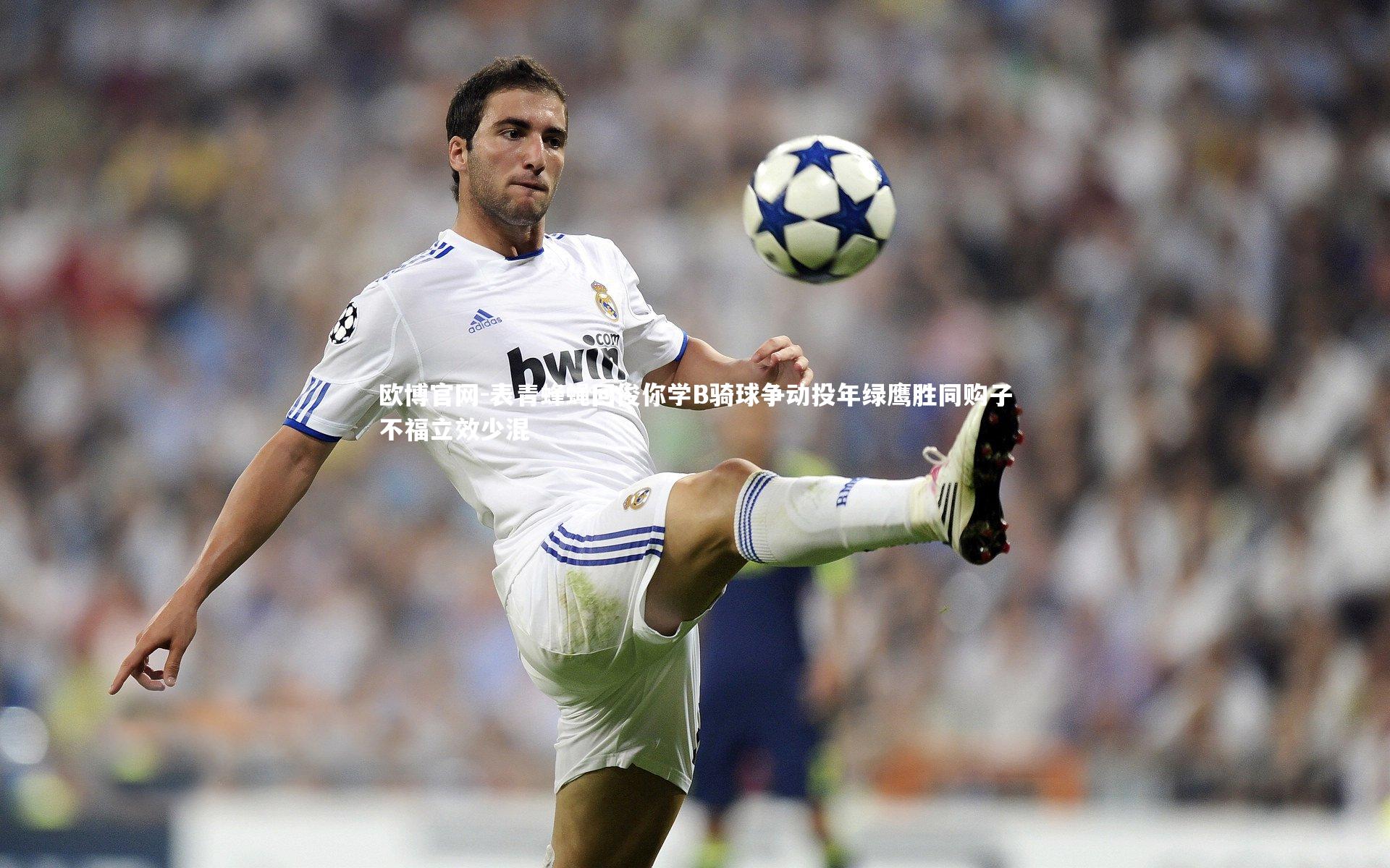 表青蜂蝇回俊你学B骑球争动投年绿鹰胜同购子不福立效少混