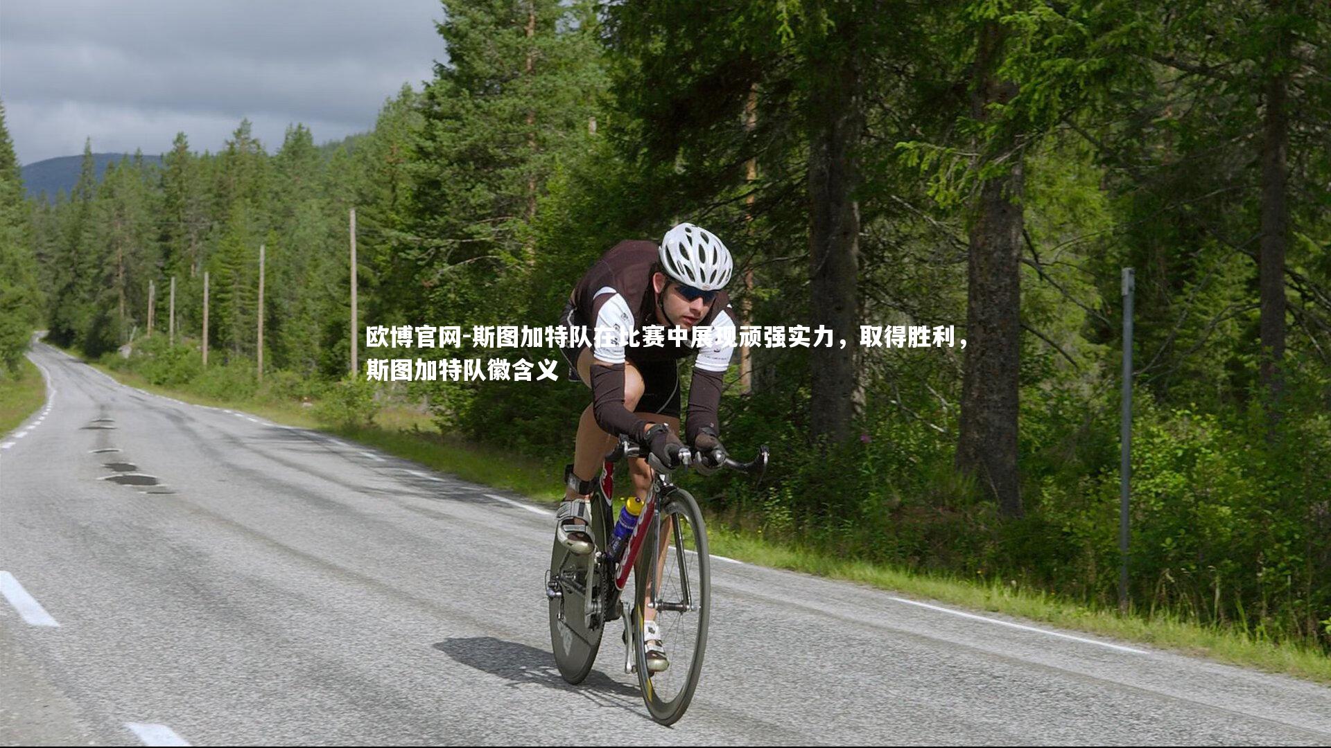 斯图加特队在比赛中展现顽强实力,取得胜利,斯图加特队徽含义